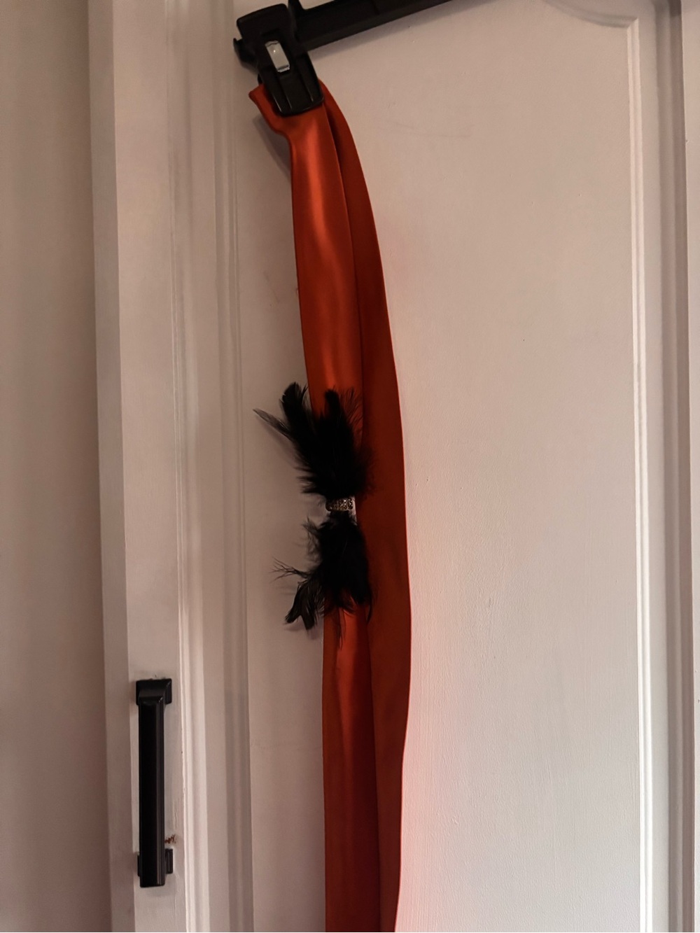 J. Crew Rust Orange Satin Belt with Black Feather Accent